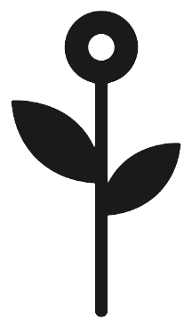 Raíz Floral